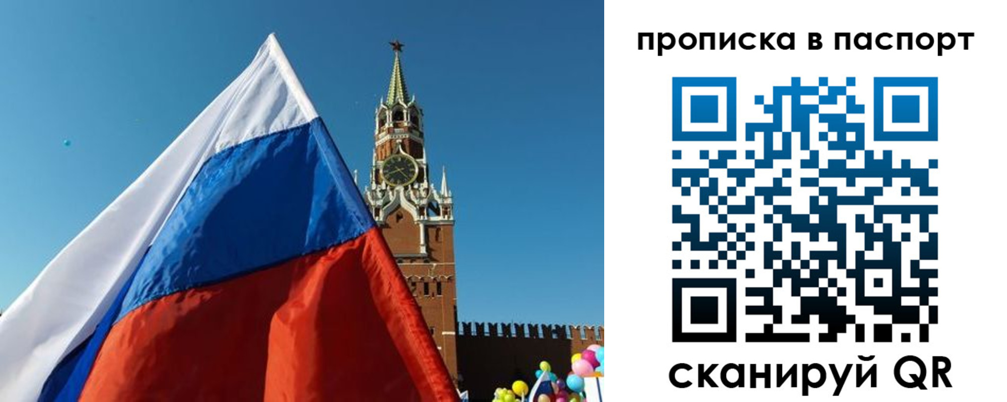 пропишу в квартире в Светлогорске
