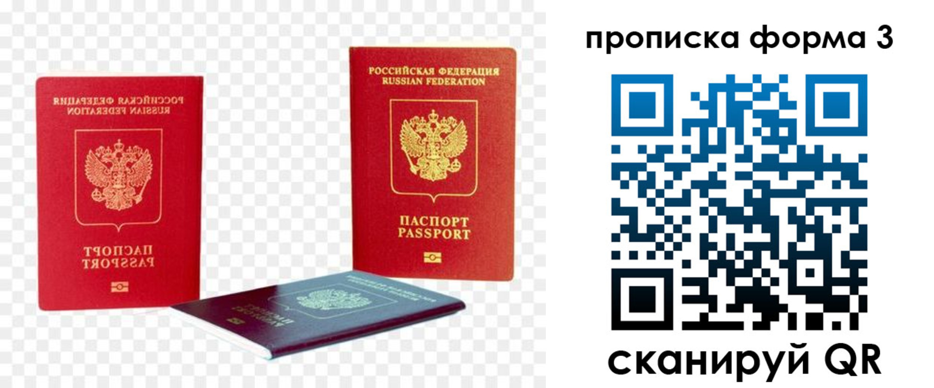 временная регистрация 2025 в Светлогорске