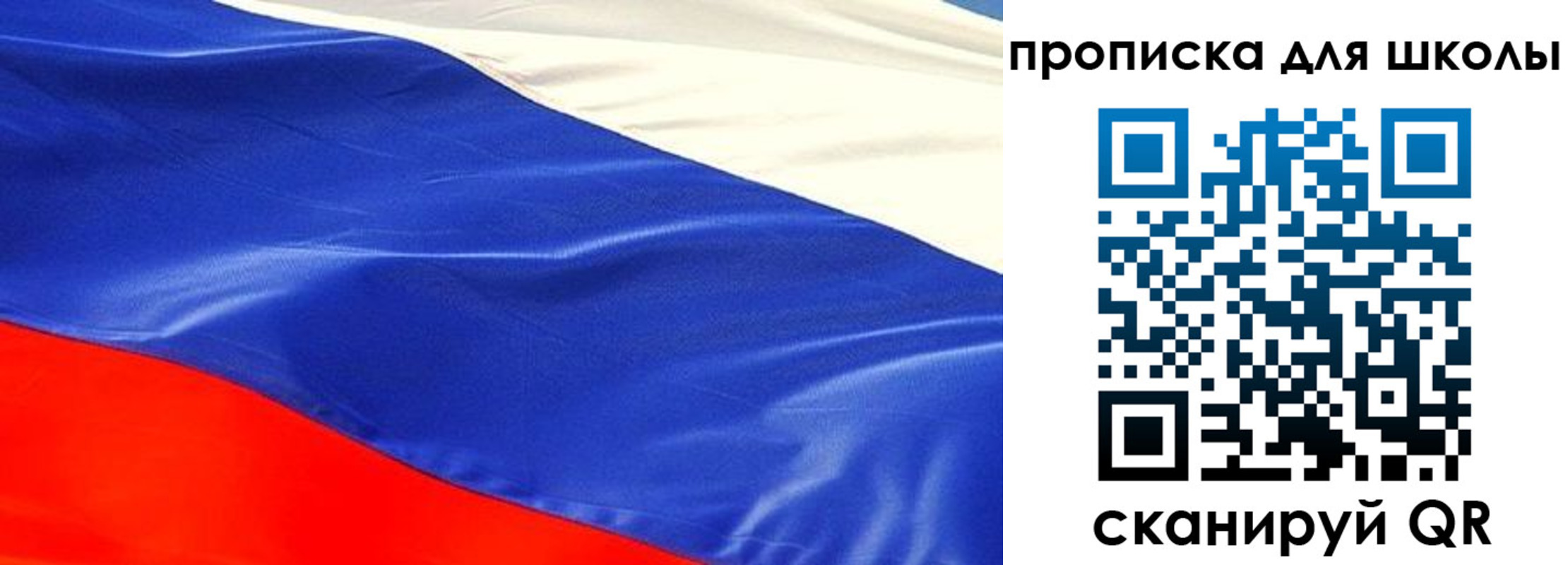 прописка гарантия в Светлогорске
