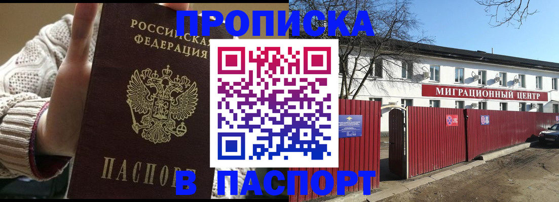 временная регистрация поиск в Светлогорске